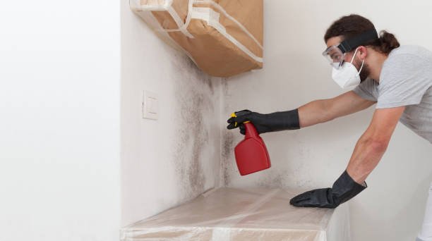Attic Mold Remediation treatment on roof deck in Halifax