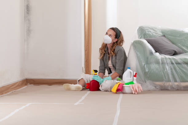 Mold Remediation service in Halifax, Halifax, NC